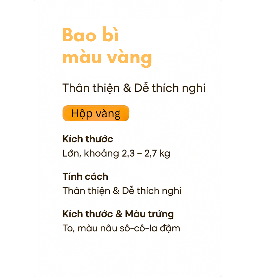 chi tiết bao bì màu vàng