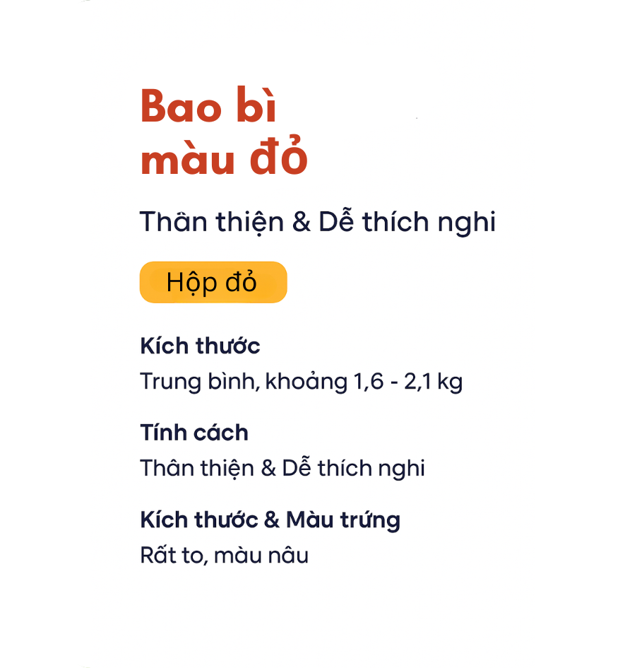 chi tiết bao bì màu đỏ