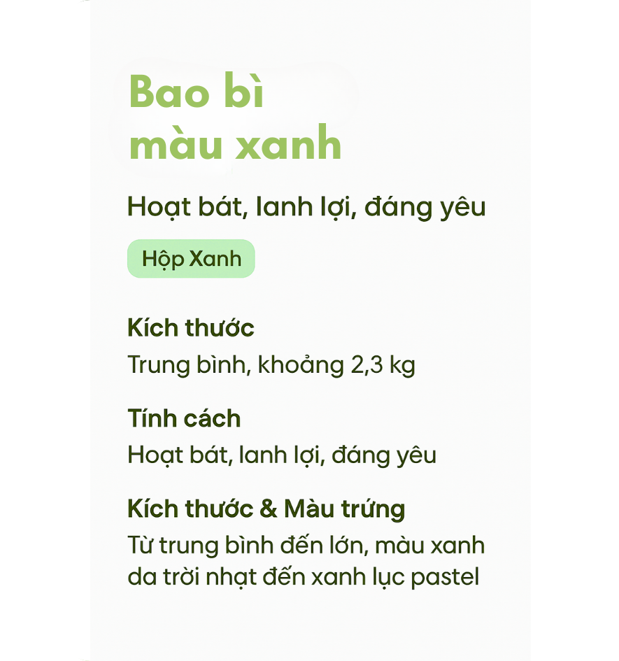 bao bì xanh