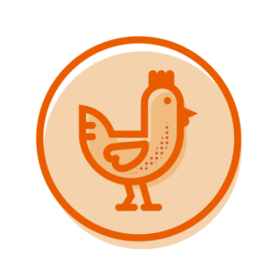 Icon gà