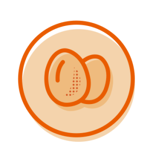 Icon trứng