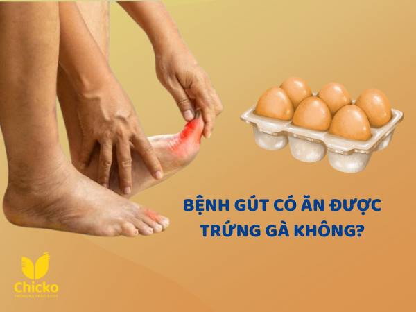 bệnh gút có ăn được trứng gà không
