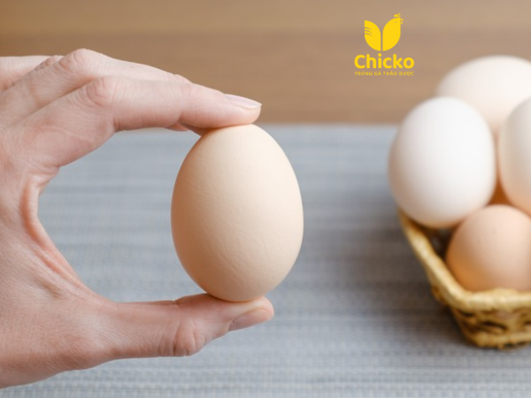 cholesterol trong trứng