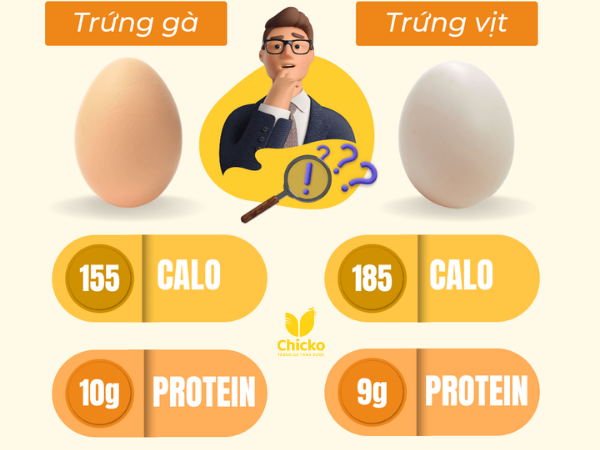 So sánh dinh dưỡng trứng gà và vịt