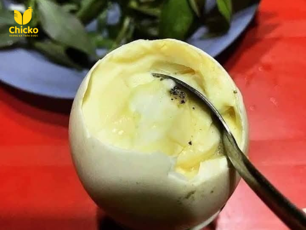trứng gà vữa