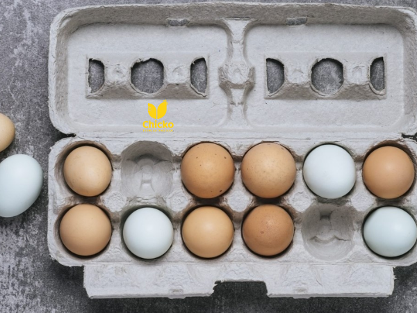 3 Cách Làm Món Ăn Vặt Từ Trứng Gà Siêu Ngon, Dễ Làm 5 Chọn lọc những quả trứng chất lượng trước khi nấu