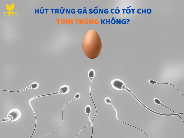 hút trứng gà sống có tốt cho tinh trùng không