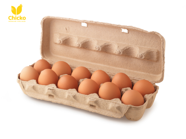 trứng gà nguồn gốc rõ ràng và chất lượng như Chicko