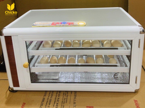 máy ấp trứng 