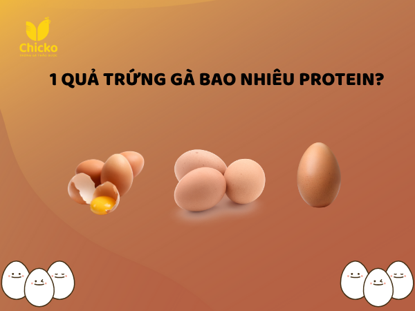 1 Quả Trứng Gà Bao Nhiêu Protein?