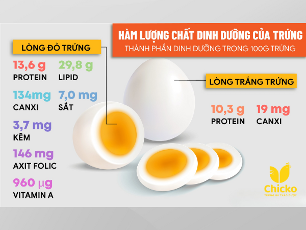 Hàm lượng chất dinh dưỡng trong quả trứng