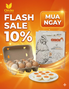 Flash sale 10% chicko