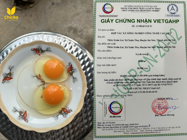 Trứng gà siêu sạch của chicko đạt chuẩn giấy chứng nhận VietGap