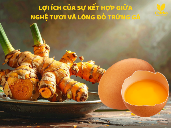 Điều Gì Xảy Ra Khi Dùng Nghệ Tươi Và Lòng Đỏ Trứng Gà Đúng Cách? 1 nghệ tươi và lòng đỏ trứng gà