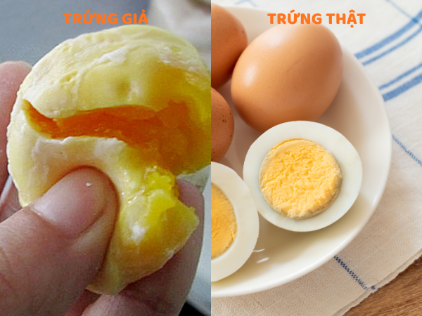 5 Cách Nhận Biết Trứng Gà Giả Siêu Chuẩn & Giải Pháp 1 cách nhận biết trứng gà giả