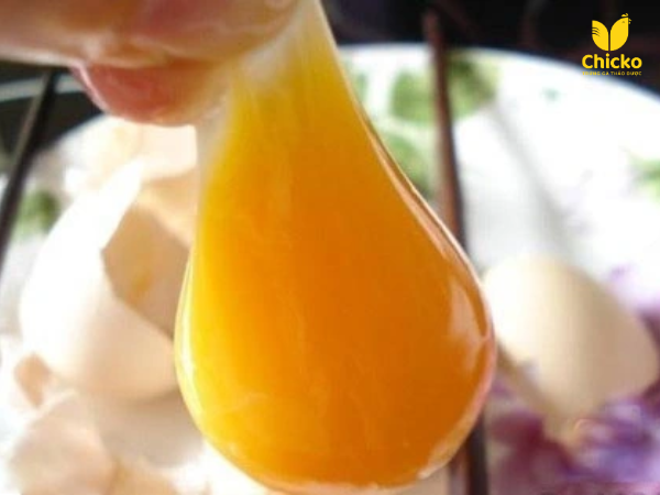 5 Cách Nhận Biết Trứng Gà Giả Siêu Chuẩn & Giải Pháp 5 Khác biệt lòng đỏ trứng thật với trứng giả