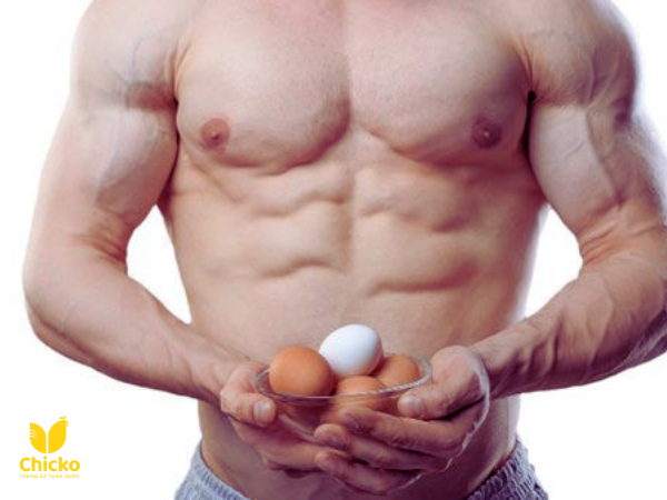 Tập gym có nên ăn lòng đỏ trứng gà không? Giải đáp A-Z 15 tập gym có nên ăn lòng đỏ trứng gà không