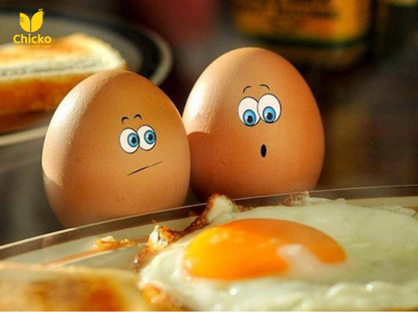 Tập gym có nên ăn lòng đỏ trứng gà không? Giải đáp A-Z 2 nên ăn lòng đỏ trứng gà trong quá trình tập gym