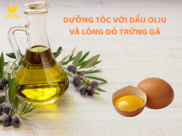 Dưỡng Tóc Bằng Dầu Oliu Và Lòng Đỏ Trứng Gà 8 dưỡng tóc bằng dầu oliu và lòng đỏ trứng gà