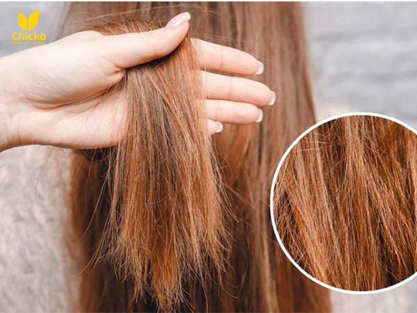 Dưỡng Tóc Bằng Dầu Oliu Và Lòng Đỏ Trứng Gà 2 Mái tóc khô xơ khi không chăm sóc đúng cách