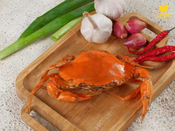 đáp án dành cho bạn