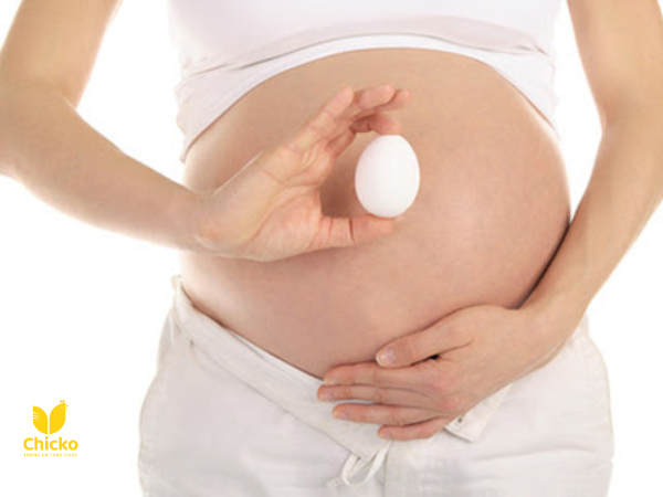 Tầm quan trọng của trứng gà trong thực đơn thai kỳ