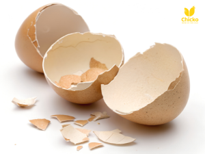 vỏ trứng gà có tác dụng gì