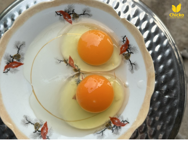 trứng gà thảo mộc